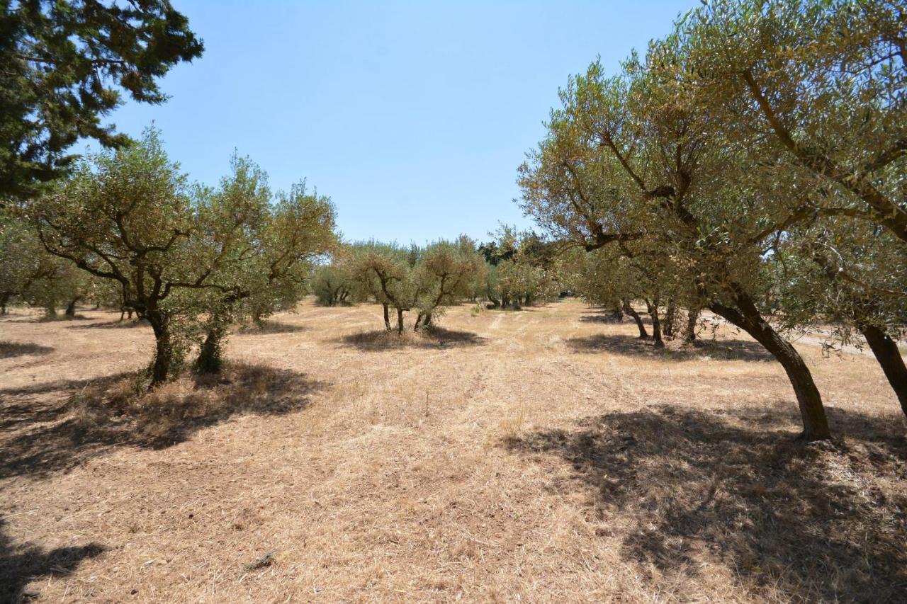 Les Mazets De La Reine Pedauque Villa Paradou Bagian luar foto